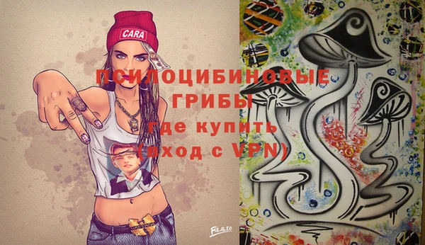 дурь Арсеньев