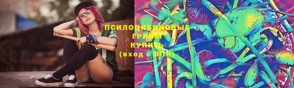 apvp Ленинск