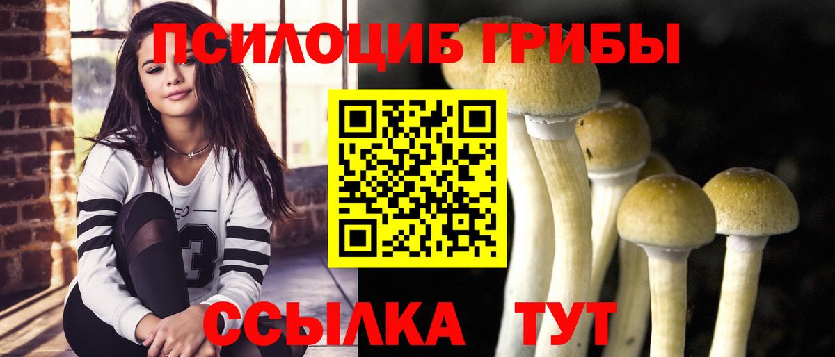 Псилоцибиновые грибы Magic Shrooms  Вход с VPN  Саров  Галлюциногенные грибы Magic Shrooms 